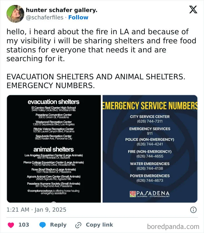 In The Midst Of The LA Fires, 28 Wholesome Moments Offer A Glimpse Of What Really Matters