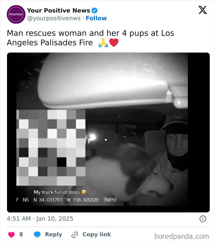 In The Midst Of The LA Fires, 28 Wholesome Moments Offer A Glimpse Of What Really Matters
