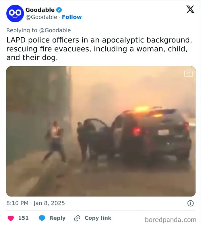 In The Midst Of The LA Fires, 28 Wholesome Moments Offer A Glimpse Of What Really Matters