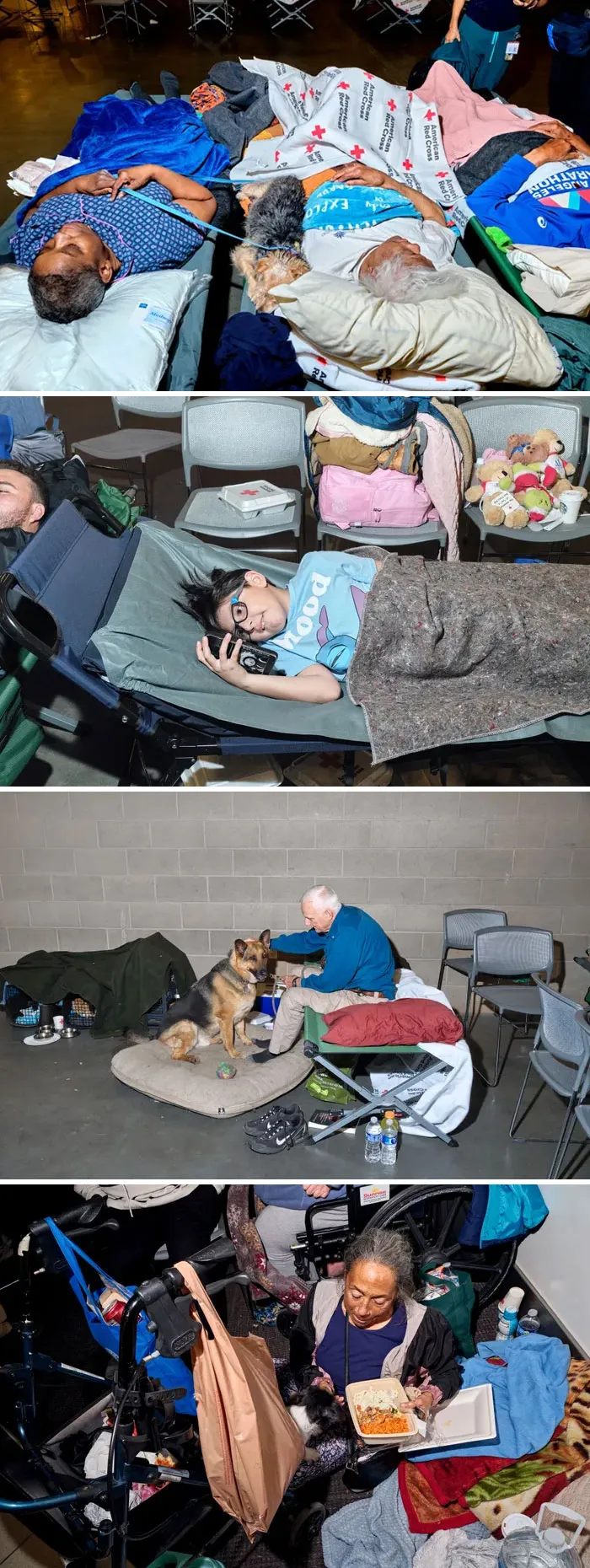 In The Midst Of The LA Fires, 28 Wholesome Moments Offer A Glimpse Of What Really Matters