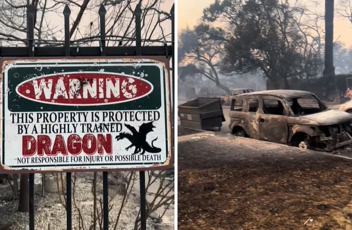In The Midst Of The LA Fires, 28 Wholesome Moments Offer A Glimpse Of What Really Matters