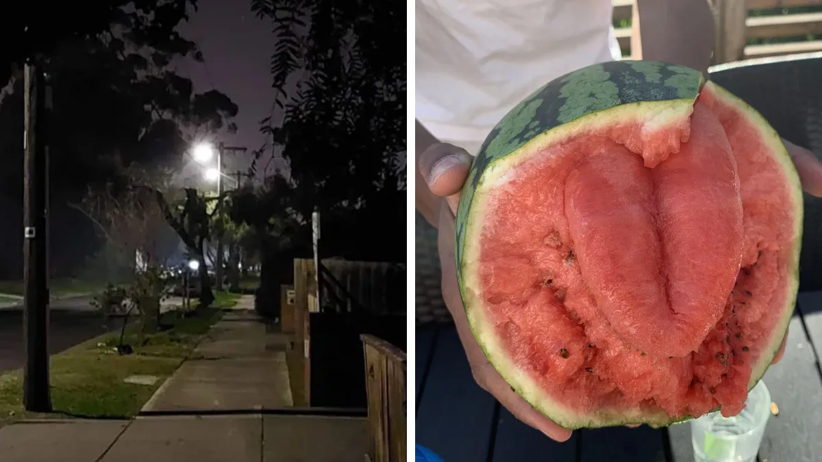 50 Times People Succumbed To Pareidolia And Saw What Wasn’t Really There (New Pics)