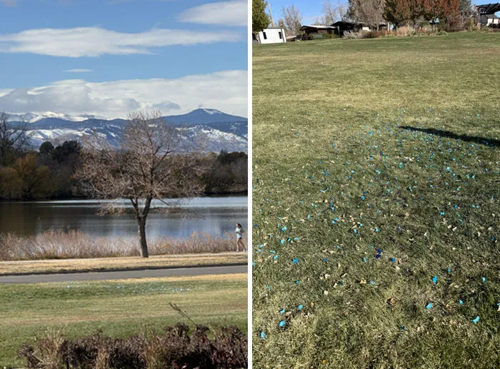 To Whoever Threw Their Gender Reveal Party At The Beautiful Sloan’s Lake And Didn’t Clean Up, S***w You