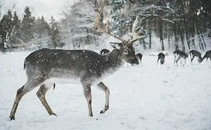 When Nature Gets Weird: 50 Odd Facts That May Leave You Looking At The World Differently