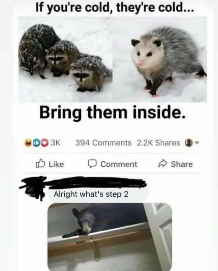 Wholesome Animal Antics meme of raccoons and opossum in snow, with text "Bring them inside" and a bear indoors.