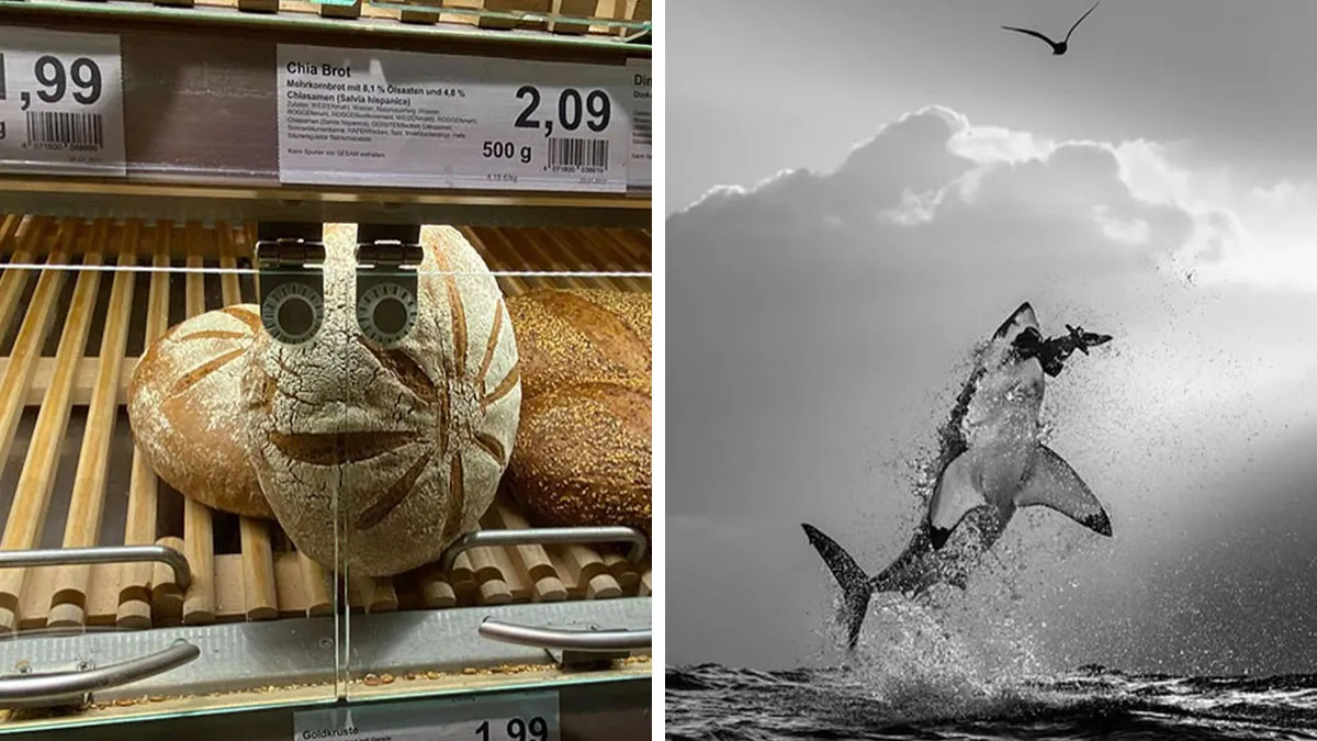 This Page Shares The Most Fascinating Photos, And Here Are The 42 Newest Ones