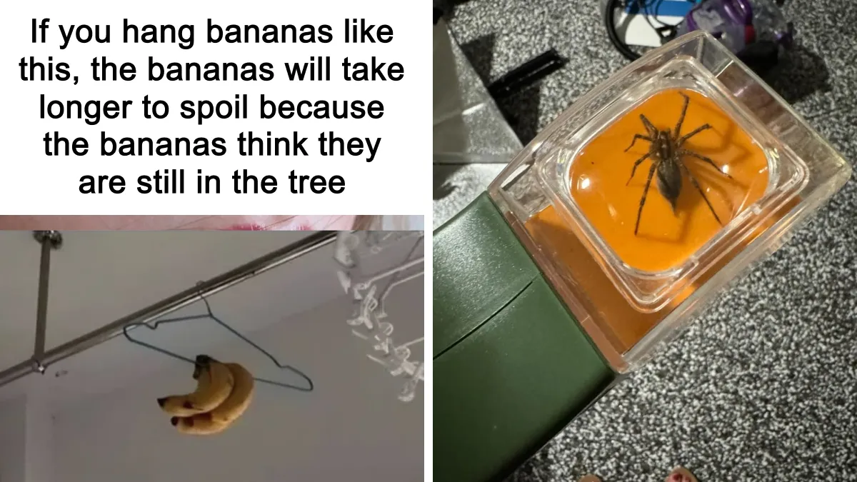 36 Random Finds That Are Just Pure Perfection In Every Way