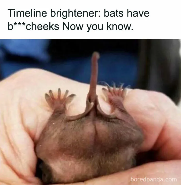 50 Memes That Prove Humor Connects Us All In Tough Times