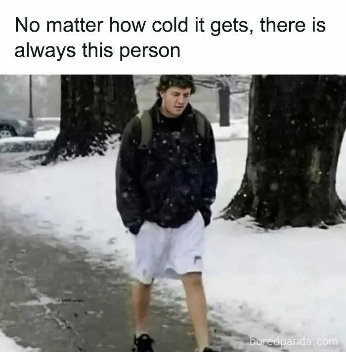 50 Memes That Prove Humor Connects Us All In Tough Times