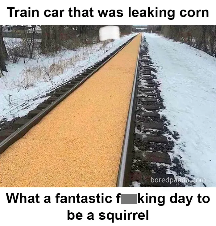 50 Hilarious Memes For People Who Enjoy A Distinct Brand Of Humor (New Pics)