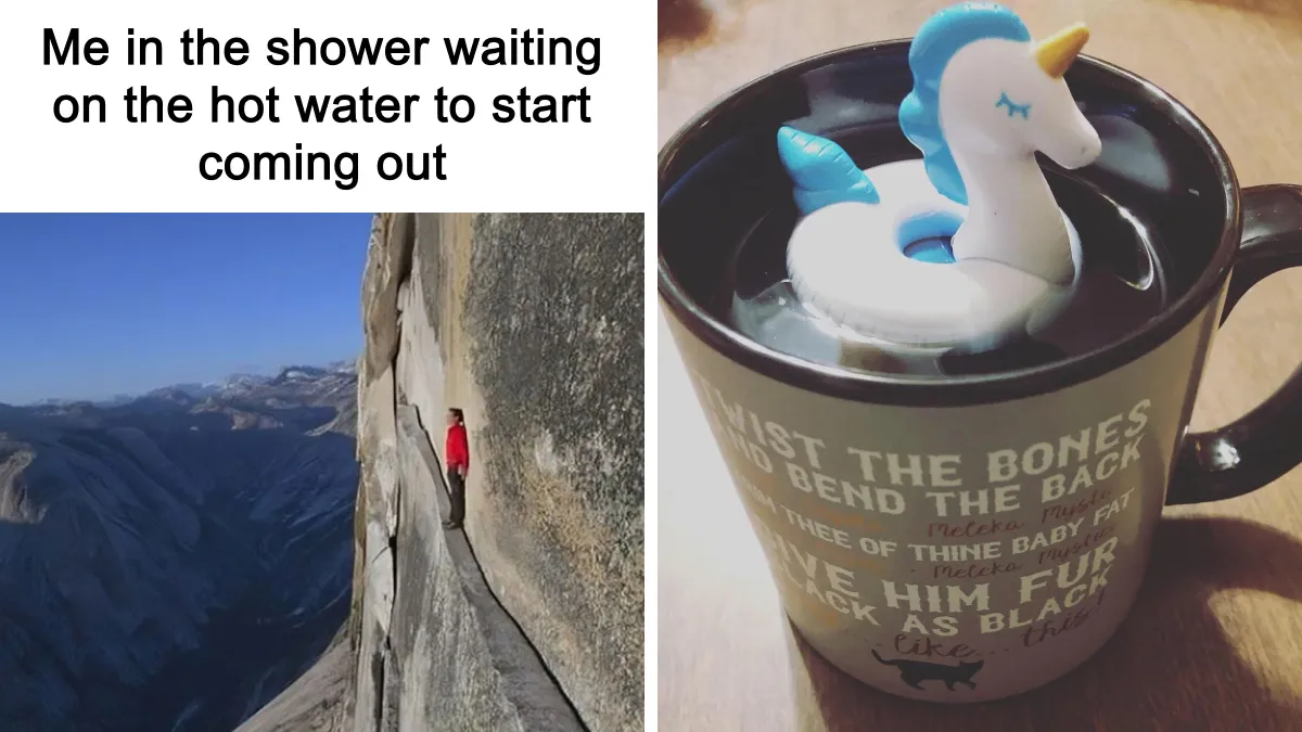 We've Discovered 50 Products That Are Equal Parts Hilarious And Helpful 