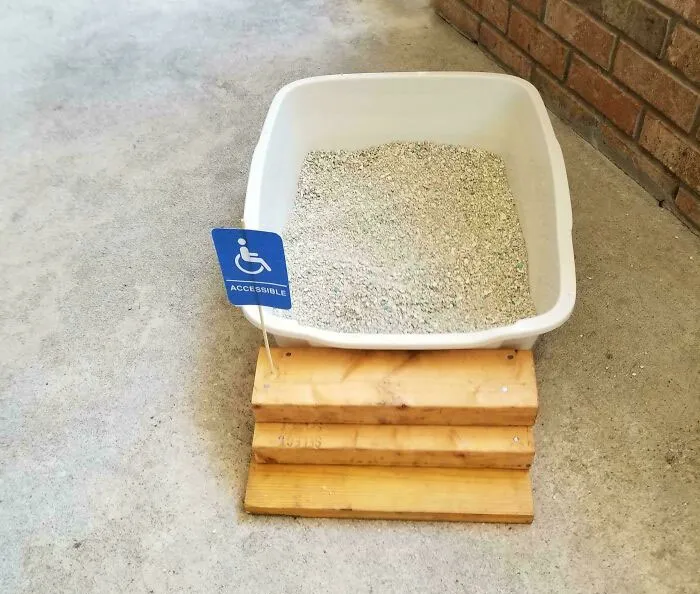 My Parents Cat Got Hurt So My Dad Made Him Some Steps For His Litter Box