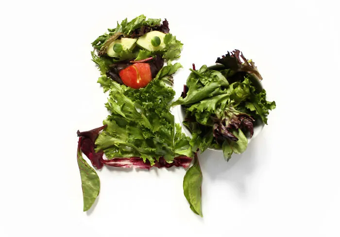 Oscar The Grouch Made With Organic Arugula And Sliced Apples