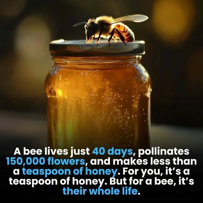 30 Fun, Interesting, And Strange Facts You Might Not Have Heard Of Before