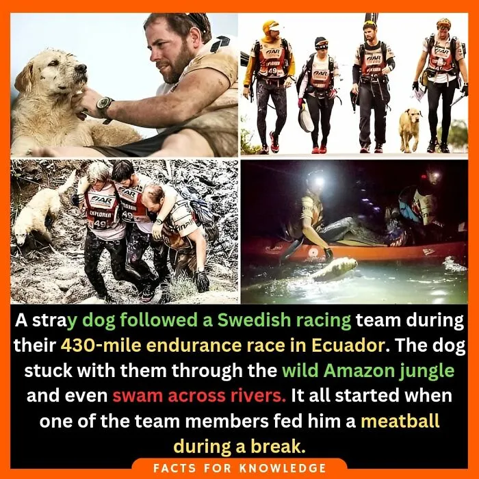 30 Fun, Interesting, And Strange Facts You Might Not Have Heard Of Before