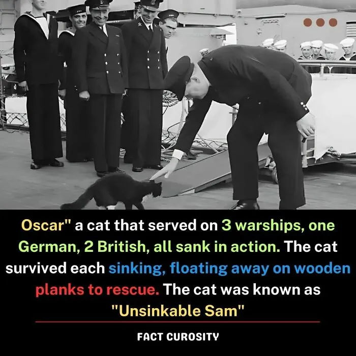 30 Fun, Interesting, And Strange Facts You Might Not Have Heard Of Before