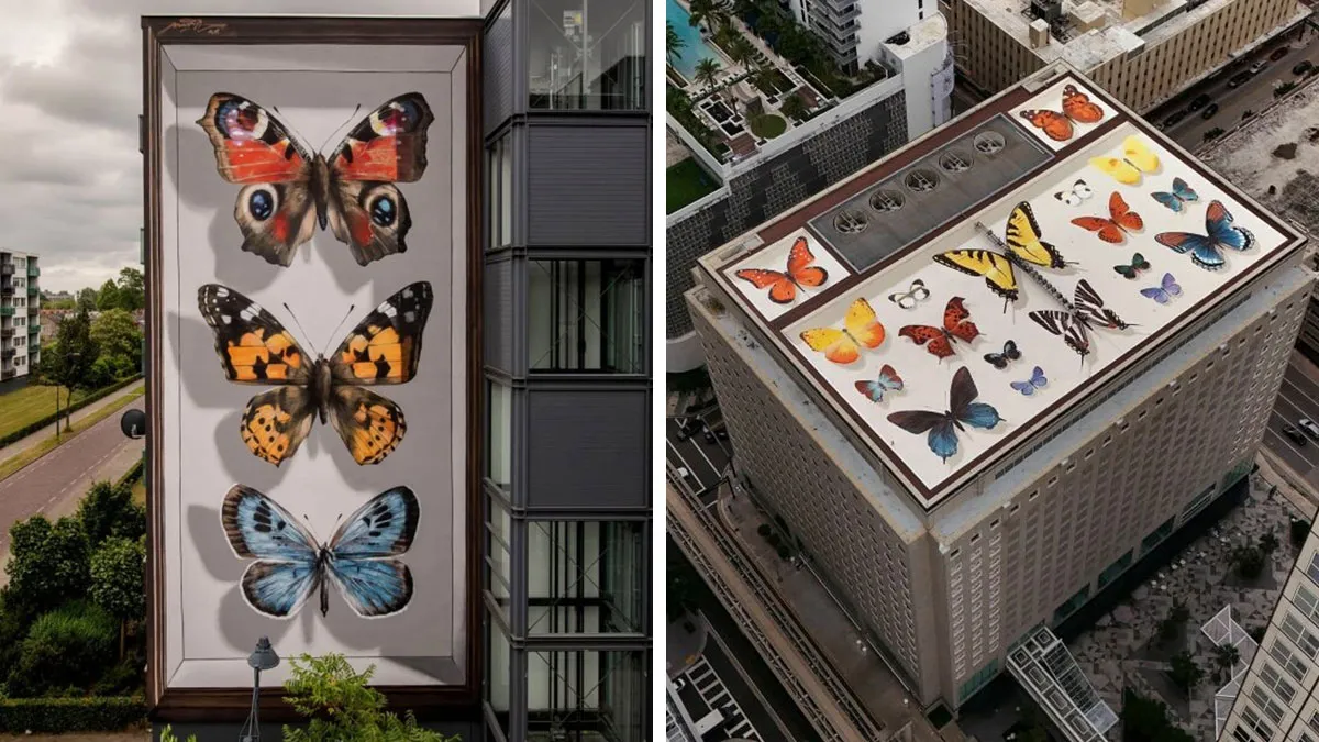 Specimen Boxes: 33 Giant Butterfly Murals Painted By This French Artist Across The World (New Pics)