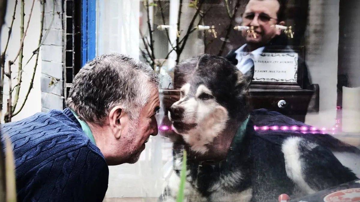 This Photographer Has The Talent To Capture The Beauty Of Everyday Moments (30 Pics)