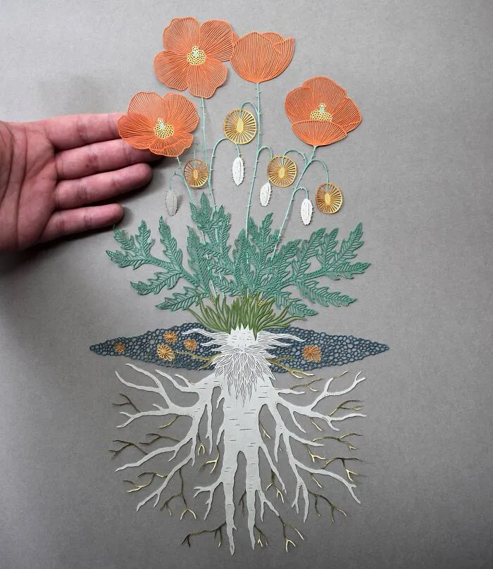 Papercut Artist Creates Intricate And Beautiful Designs Inspired By Natural Life (42 Pics)