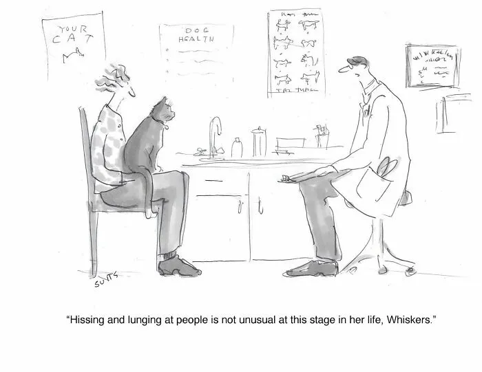 Artist Created 27 Comics That Might Make You Laugh, Then Rethink Everything