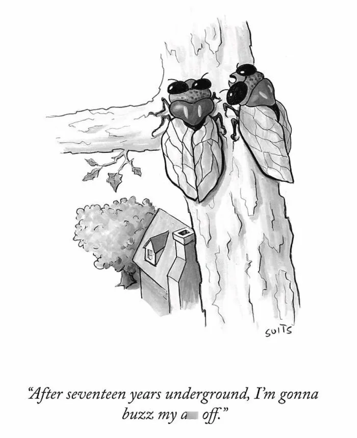 Artist Created 27 Comics That Might Make You Laugh, Then Rethink Everything