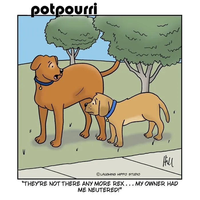 This Artist Created 30 Funny Cartoons About Dogs In Absurd Situations