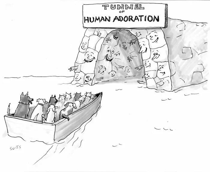 Artist Created 27 Comics That Might Make You Laugh, Then Rethink Everything
