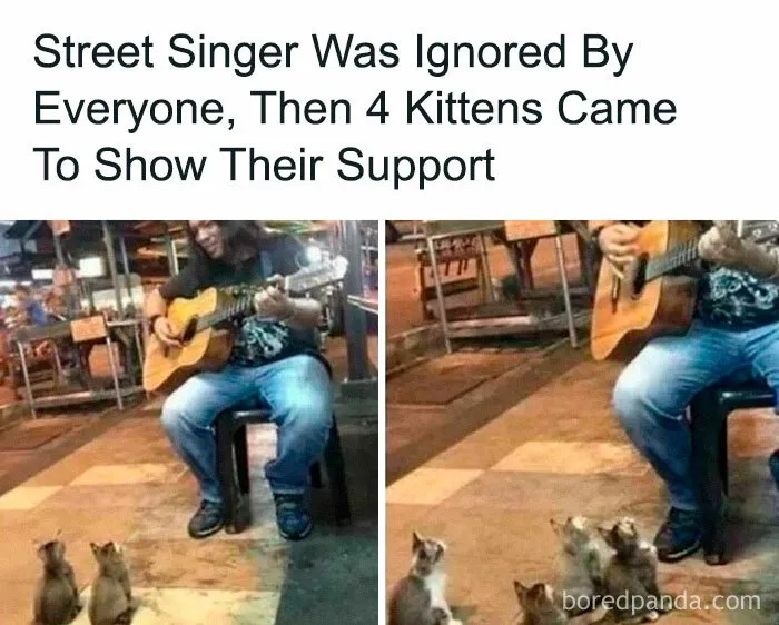 50 Feel-Good Memes And Pics To Help You Escape The Negativity (New Pics)