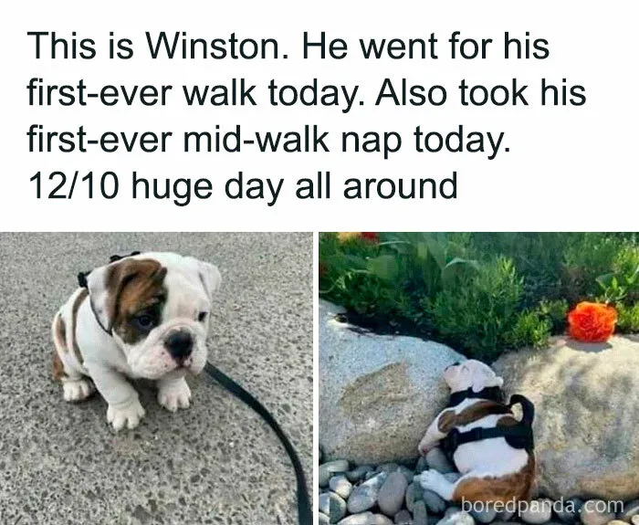 50 Feel-Good Memes And Pics To Help You Escape The Negativity (New Pics)