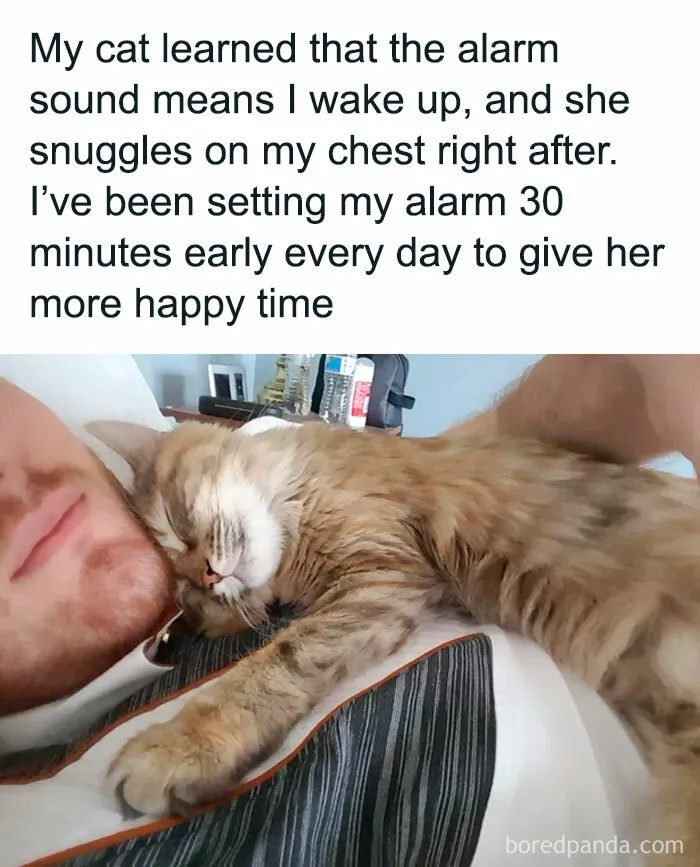 50 Feel-Good Memes And Pics To Help You Escape The Negativity (New Pics)
