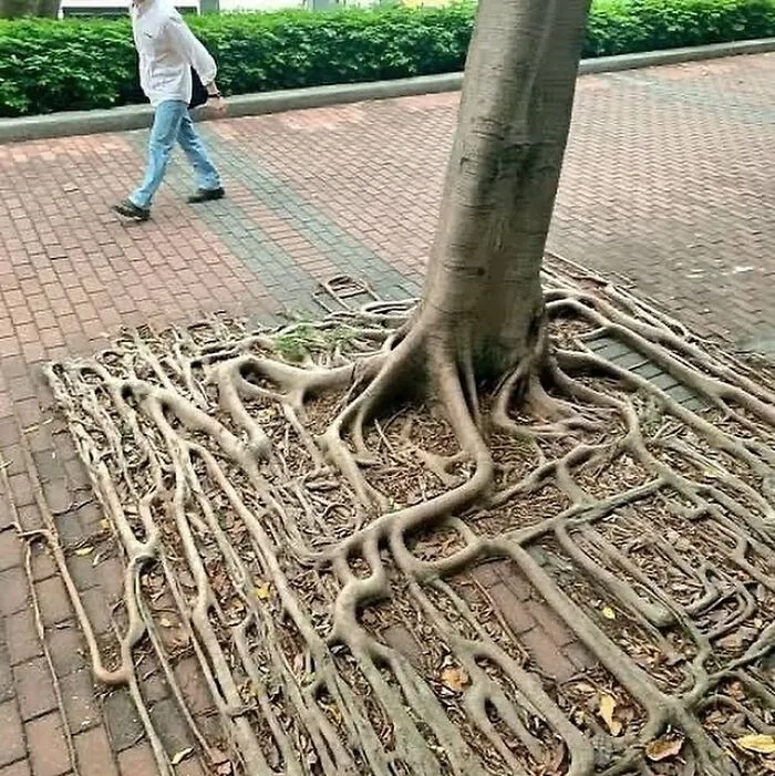 33 Strikingly Weird Images From A Dedicated Page For You To Gawk At