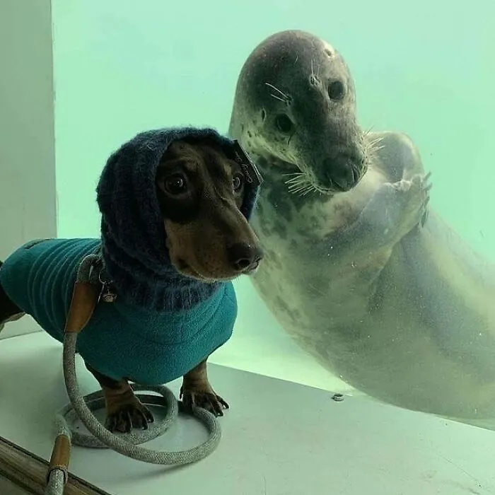 33 Strikingly Weird Images From A Dedicated Page For You To Gawk At
