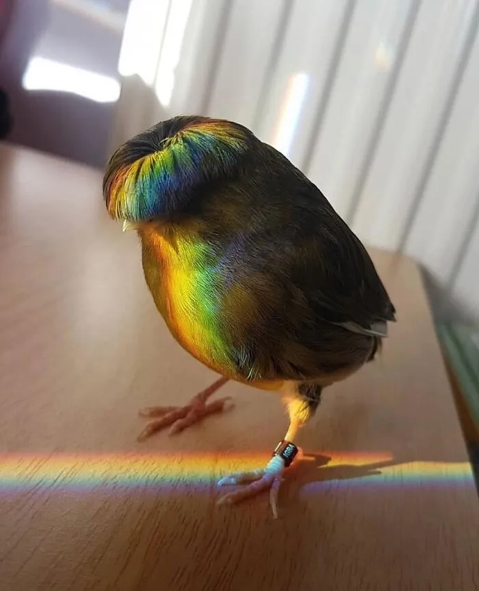 33 Strikingly Weird Images From A Dedicated Page For You To Gawk At