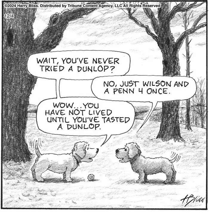 Two dogs chatting about tennis balls in a comic by Harry Bliss.
