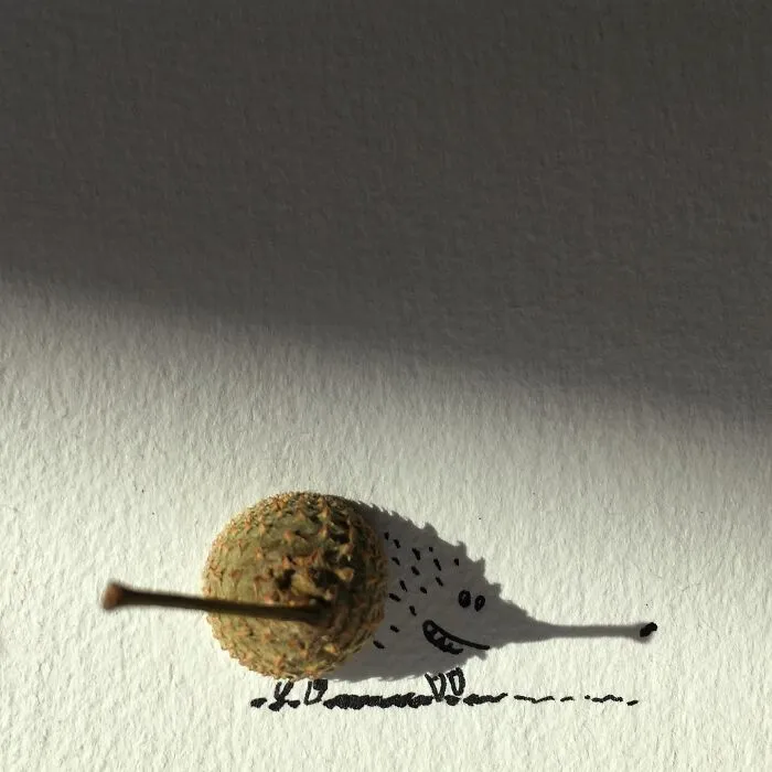 Belgian Artist Uses Shadows To Create Humorous Illustrations (23 New Pics)