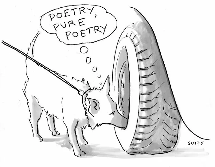 Artist Created 27 Comics That Might Make You Laugh, Then Rethink Everything