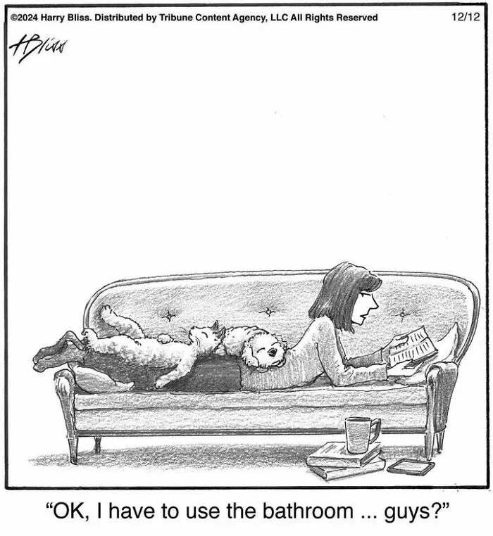 This New Yorker Magazine Cartoonist Creates Clever One-Panel Comics (30 New Pics)