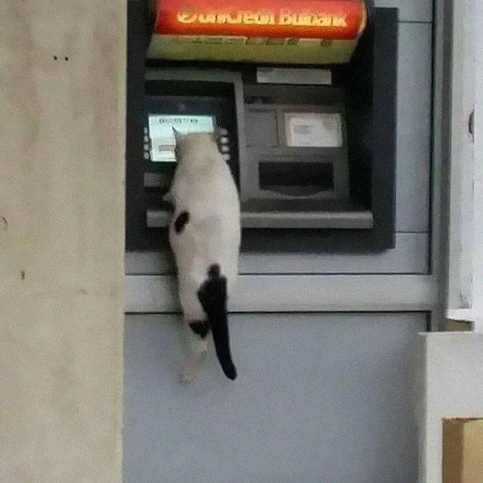 33 Strikingly Weird Images From A Dedicated Page For You To Gawk At