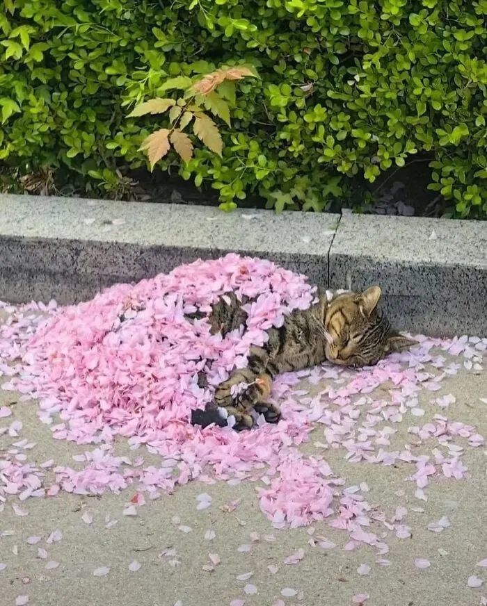 33 Strikingly Weird Images From A Dedicated Page For You To Gawk At