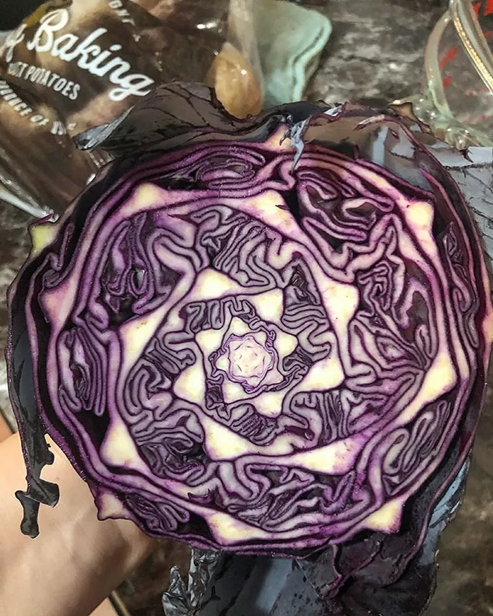 33 Strikingly Weird Images From A Dedicated Page For You To Gawk At
