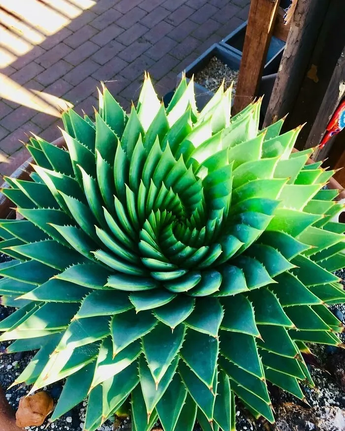 33 Strikingly Weird Images From A Dedicated Page For You To Gawk At