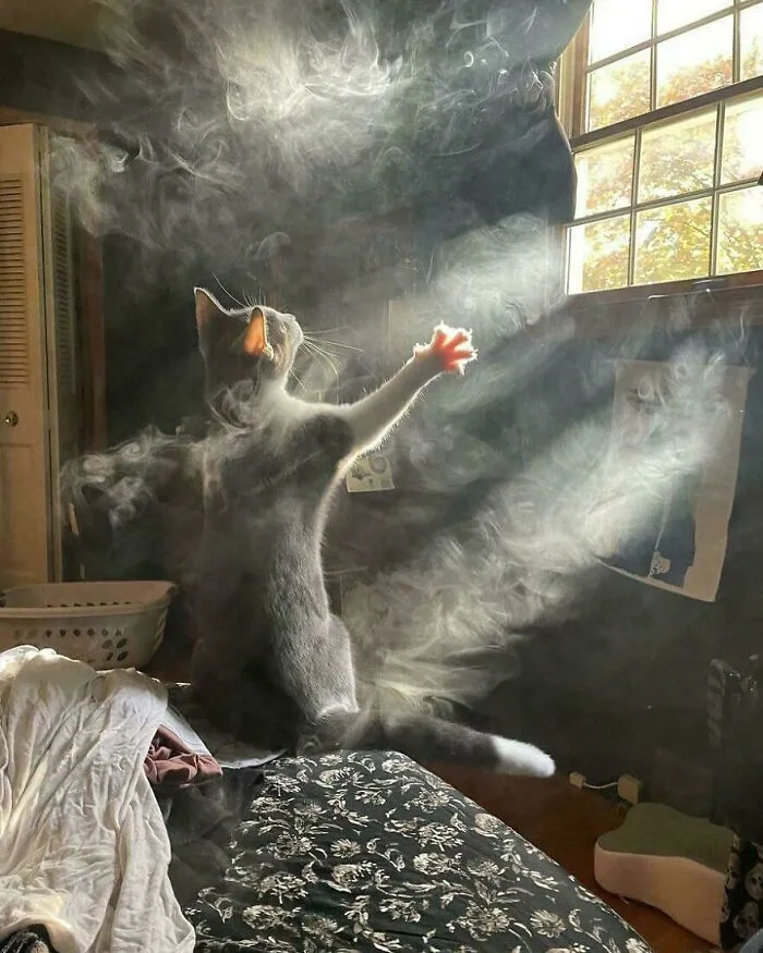 33 Strikingly Weird Images From A Dedicated Page For You To Gawk At