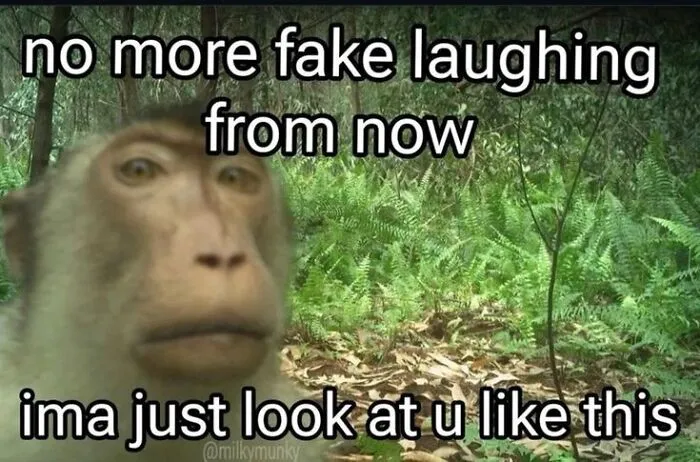 40 Hilariously Relatable Memes That Most Of Us Can Relate To From The "Evil Thoughts" FB Page