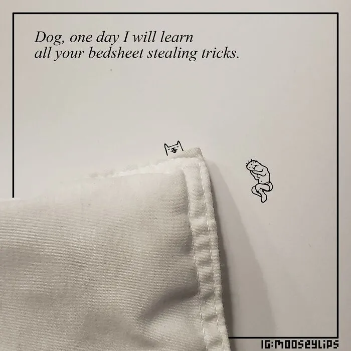 22 Hilariously Absurd Comics Created By Mooseylips And Packed With Weird And Absurd Humor