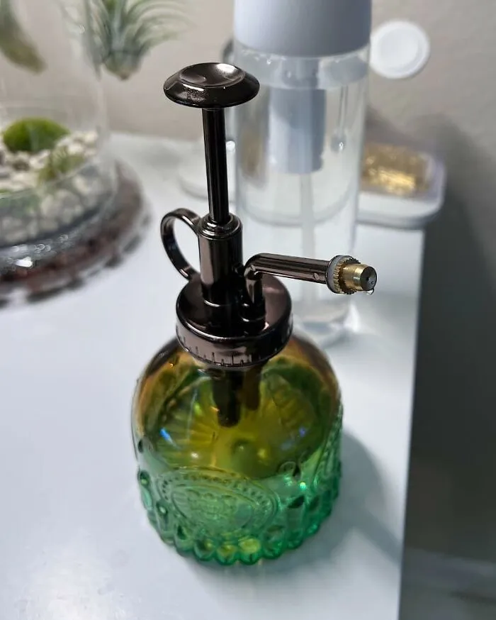 Give Your Thirsty Plants The Vintage Treatment, They Deserve The Glam, Refreshing Twist Of This <a Style="Display:inline;" Href="Https://Www.amazon.com/Ebristar-Vintage-Spritzer-Succulent-Watering/Dp/B08b1wmddt?ie=utf8&th=1&linkcode=ll1&tag=bpdodo-20&linkid=c46687de253eff82a9a5e3db6752f9ea&language=en_us&ref_=as_li_ss_tl" Target="_blank"><span Style="Font: Inherit; Color: #d74b1f;"> Vintage Spritzer</Span>