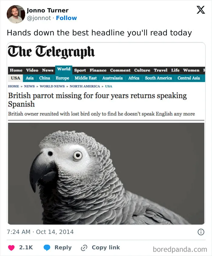 Help My Parrot Turned Spanish And I Cannot Undo It