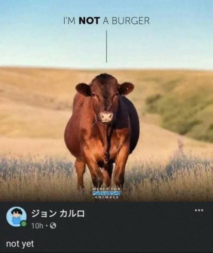 50 Deliciously Funny Memes, As Shared On This Instagram Account