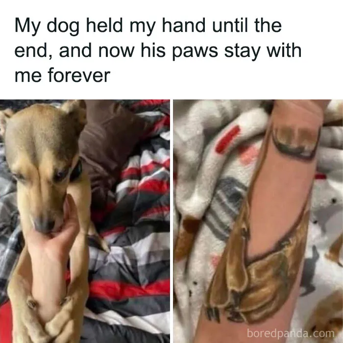 50 Uplifting Memes And Posts For That Daily Dose Of Positivity (New Pics)