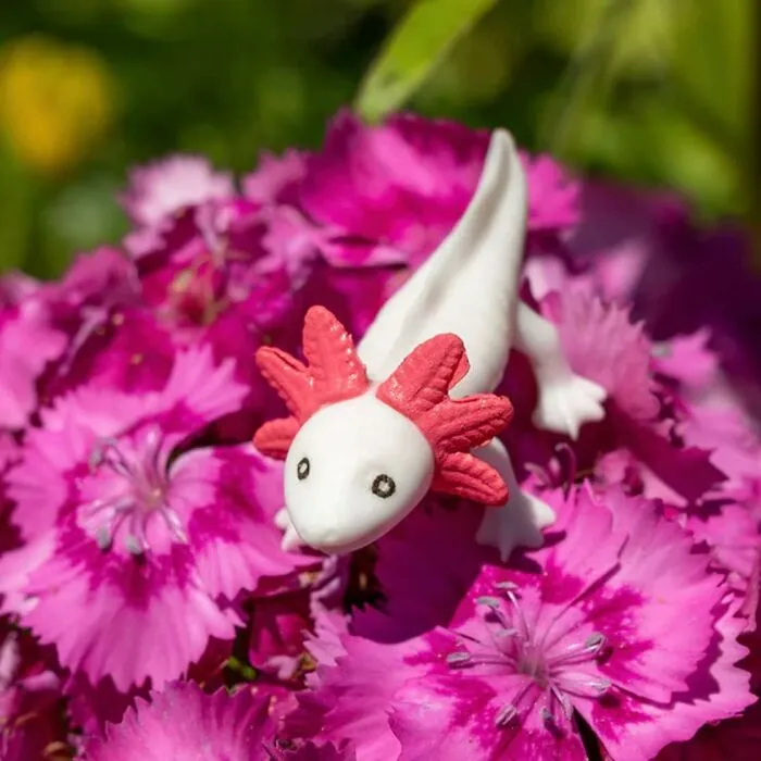An <a Style="Display:inline;" Href="Https://Www.amazon.com/Accoutrements-Archie-Mcphee-Bitty-Axolotls/Dp/B0bhmpn7cf?dib=eyj2ijoimsj9.e5fhkpgwdrnqd_xxmsdhrtrt4v-5brcey9giw9ui4nwvfgw5lvc2ehppgiebklc53cycvuudygje7bfwyh7kzmtwuhq2xsilhf1h7dnaorfqumhbsdo92unvywvdmodbssaolhoadmzi-Ftpudujidcwx9a1jqewjrnjirjxui1wupsmftxgej1tngdljph7irpl9junlx8xdpcwk5oihkg78wwqlcww1ftgbst--Aq4jvrduw1hyilmbs22ar0ly8iz__l-V_jz0jkuas2nysz2tckn75dyh6o5wwmvfboh58-96zmnsirqtifzodaxy0vt05djqnbw89h7w3m-Yco3-Lsdd6hrnxw9b_juxg13zwnyjzchkgnud5t-Abrh9ota7nlb7rwuvzwmjb7u8yaw0z0agmsougqqj-1cjmluoki_dfmkxgcwe71unove.3udczxcrczbvf7dskfz9ak7uh83l9lkmzbzn99rkhmk&dib_tag=se&keywords=archie+mcphee&qid=1740143525&sr=8-51&linkcode=ll1&tag=bpiguana-20&linkid=08d4f387cddb68fdafd6c3e5ca9a9e79&language=en_us&ref_=as_li_ss_tl" Target="_blank"><span Style="Font: Inherit; Color: #d74b1f;"> 8-Pack Of Tiny Axolotls </Span> Is Perfect For Creating Your Own Miniature Underwater Rave, Or Just Reminding Yourself That Cute Things Exist Even When The World Is A Dumpster Fire