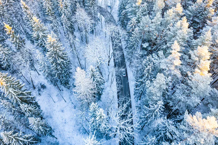 Winter Road
